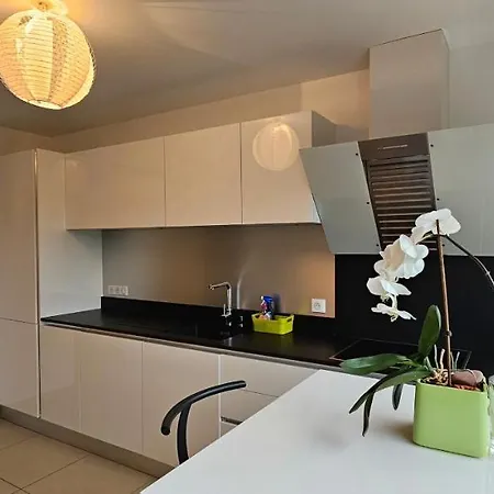 Appartement Luxe Et Confort A Porto-vecchio Porto-Vecchio (Corsica)
